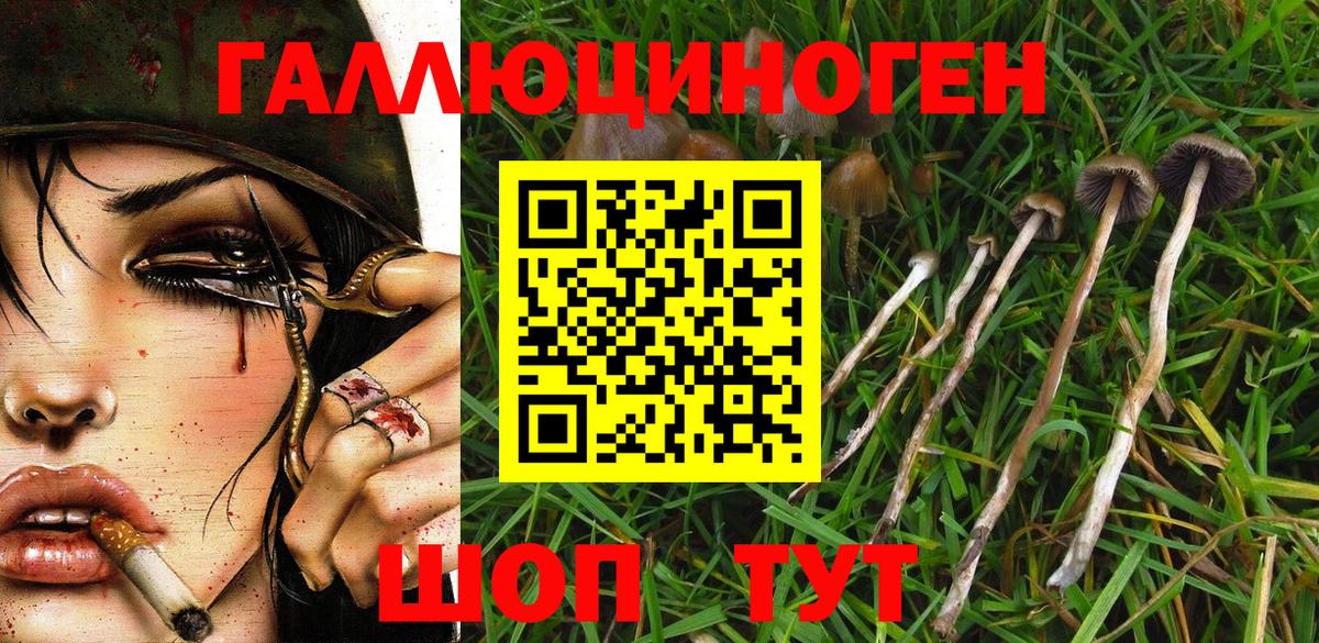 Псилоцибиновые грибы Magic Shrooms  Вход с VPN  Заволжье 