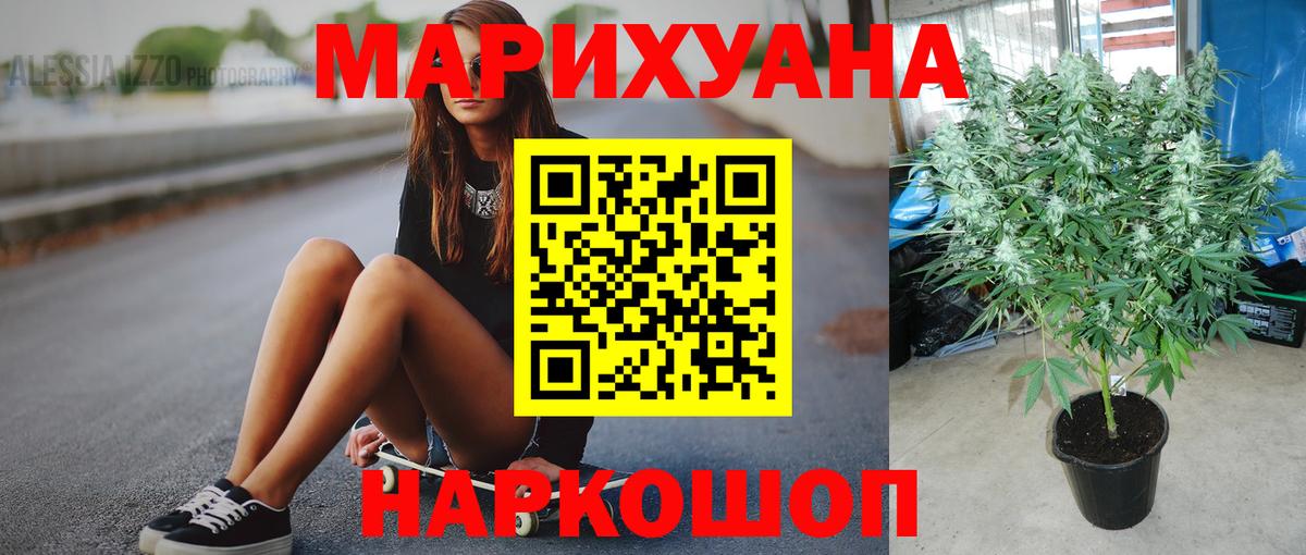 МАРИХУАНА гибрид Заволжье